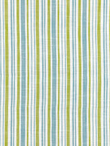 Scalamandre Pembroke Stripe Ocean Palm Fabric