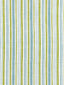Scalamandre Pembroke Stripe Ocean Palm Fabric