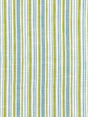 Scalamandre Pembroke Stripe Ocean Palm Fabric