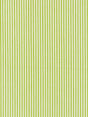 Scalamandre Kent Stripe Pear Fabric