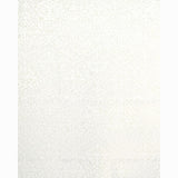 Schumacher Camilla Sheer Ivory Fabric