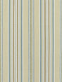 Scalamandre Cyrus Cotton Stripe Prairie Fabric