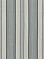 Scalamandre Cyrus Cotton Stripe Stone Fabric
