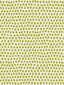 Scalamandre Dot Weave Chartreuse Fabric