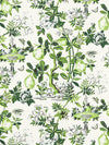 Scalamandre Shantung Garden Verdance Wallpaper