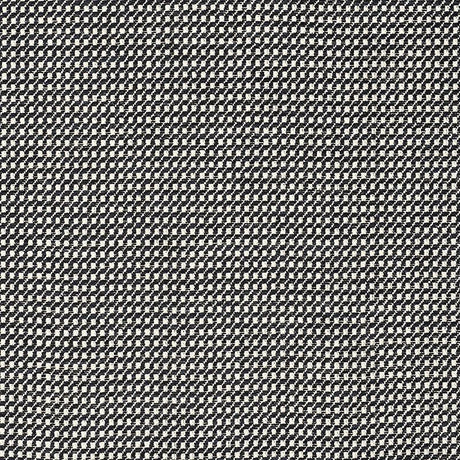 Schumacher Toscana Black Fabric