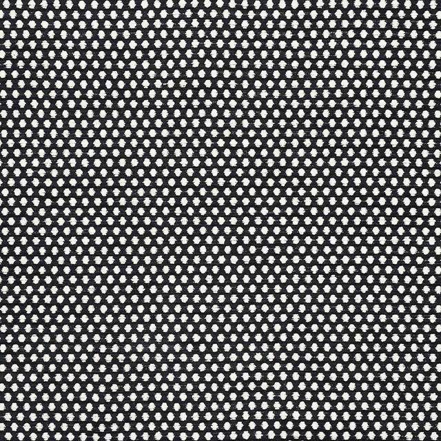 Schumacher Sabina Ivory & Black Fabric