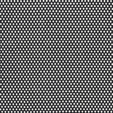 Schumacher Sabina Ivory & Black Fabric