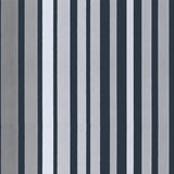 Cole & Son CAROUSEL STRIPE GREY Wallpaper