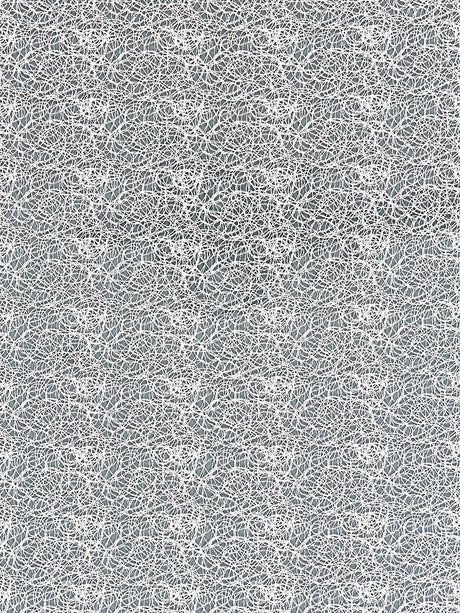 Scalamandre Modern Lace Snow Fabric