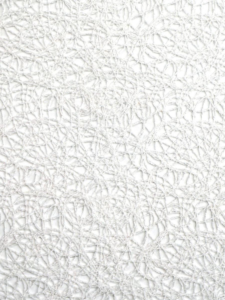 Scalamandre Modern Lace Snow Fabric