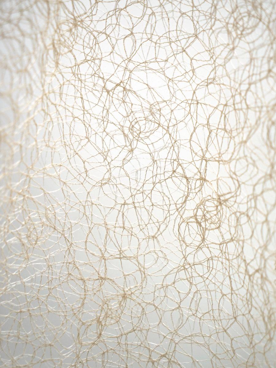 Scalamandre Modern Lace Champagne Fabric