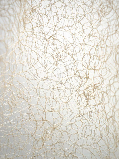 Scalamandre Modern Lace Champagne Fabric