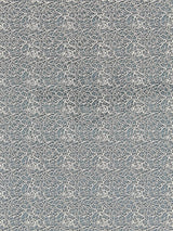 Scalamandre Modern Lace Champagne Fabric