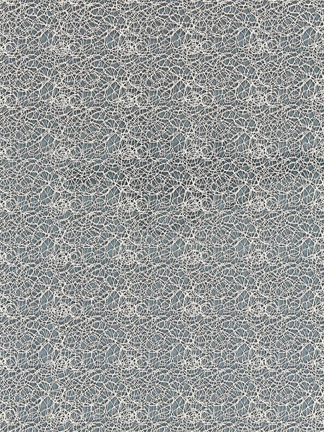 Scalamandre Modern Lace Champagne Fabric