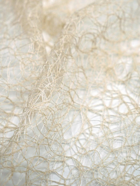 Scalamandre Modern Lace Champagne Fabric