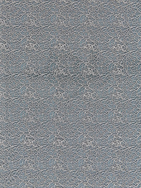 Scalamandre Modern Lace Fog Fabric