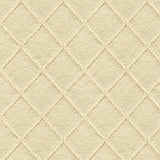 Kravet INTAN DEW Upholstery Fabric