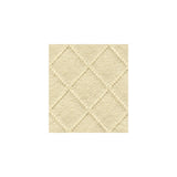 Kravet Intan Dew Fabric