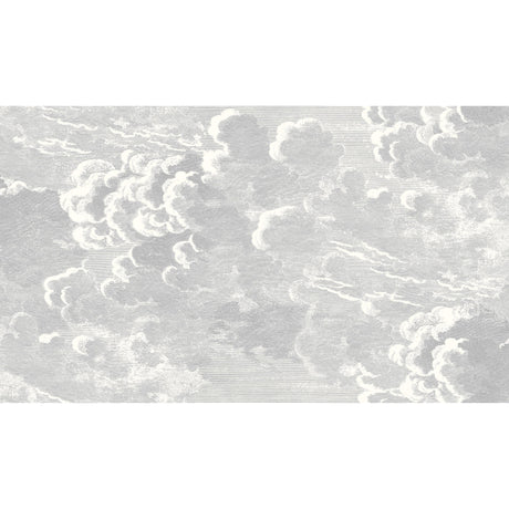 Cole & Son NUVOLETTE SOOT/SNOW Wallpaper