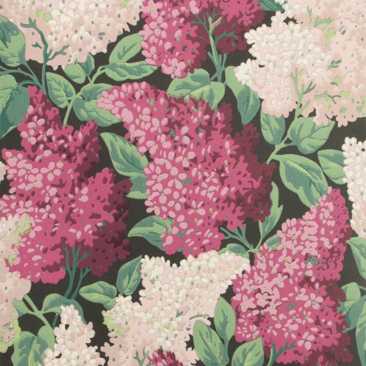 Cole & Son Lilac Magenta/Blush/Charco Wallpaper