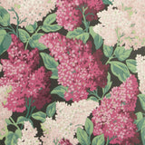 Cole & Son Lilac Magenta/Blush/Charco Wallpaper