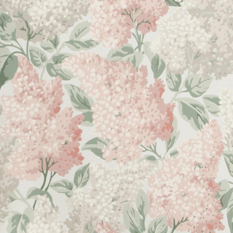 Cole & Son Lilac Bslipper/Dve/Sbirch Wallpaper