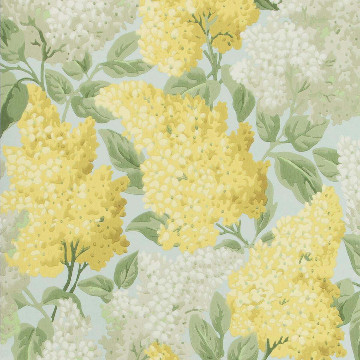 Cole & Son Lilac Lemon/Olive/Prm Blue Wallpaper