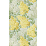 Cole & Son LILAC LEMON/OLIVE/PRM BLUE Wallpaper