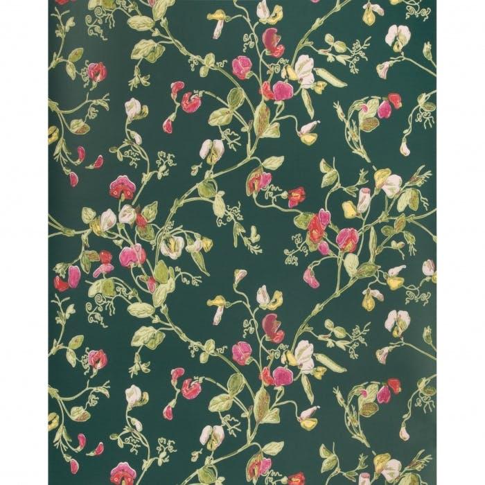 Cole & Son SWEET PEA CERISE/MAGEN/VRDN Wallpaper