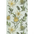 Cole & Son THISTLE LEMON/OLIVE/D EGG Wallpaper
