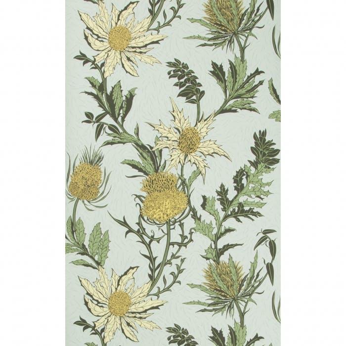 Cole & Son THISTLE LEMON/OLIVE/D EGG Wallpaper