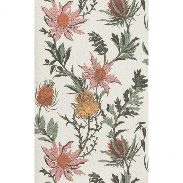 Cole & Son Thistle A Pink/Orange/Parch Wallpaper