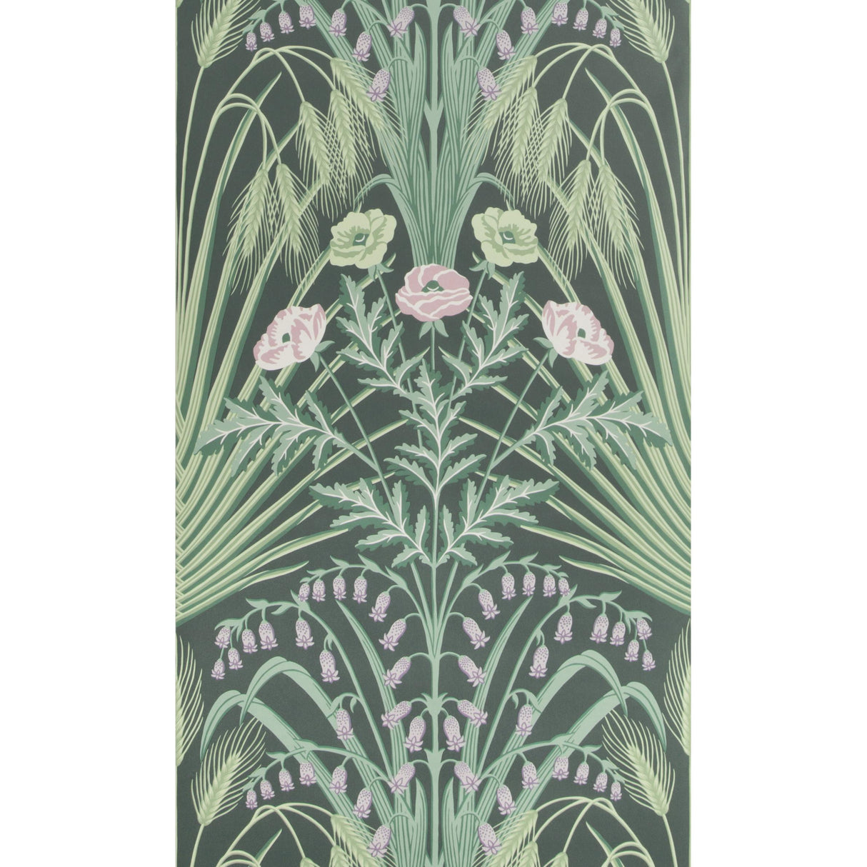 Cole & Son BLUEBELL SAGE ON CHARCOAL Wallpaper