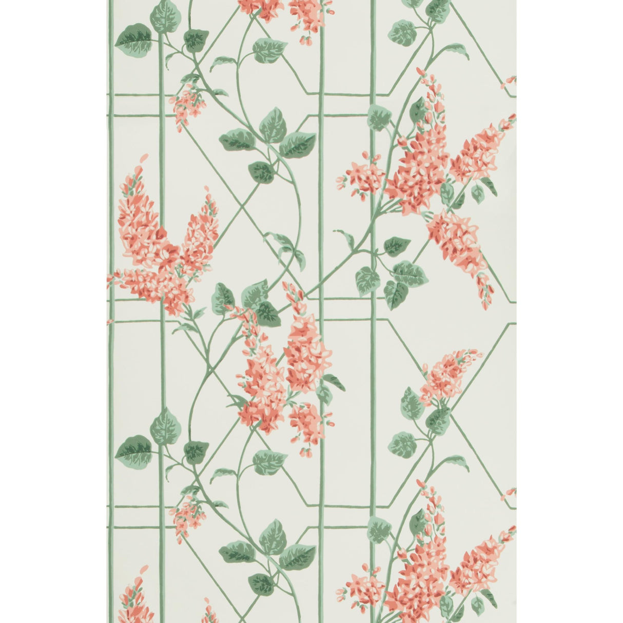 Cole & Son WISTERIA CORAL/SAGE/PARCH Wallpaper