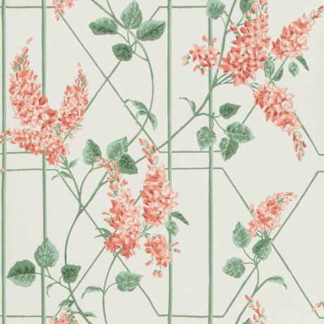 Cole & Son Wisteria Coral/Sage/Parch Wallpaper
