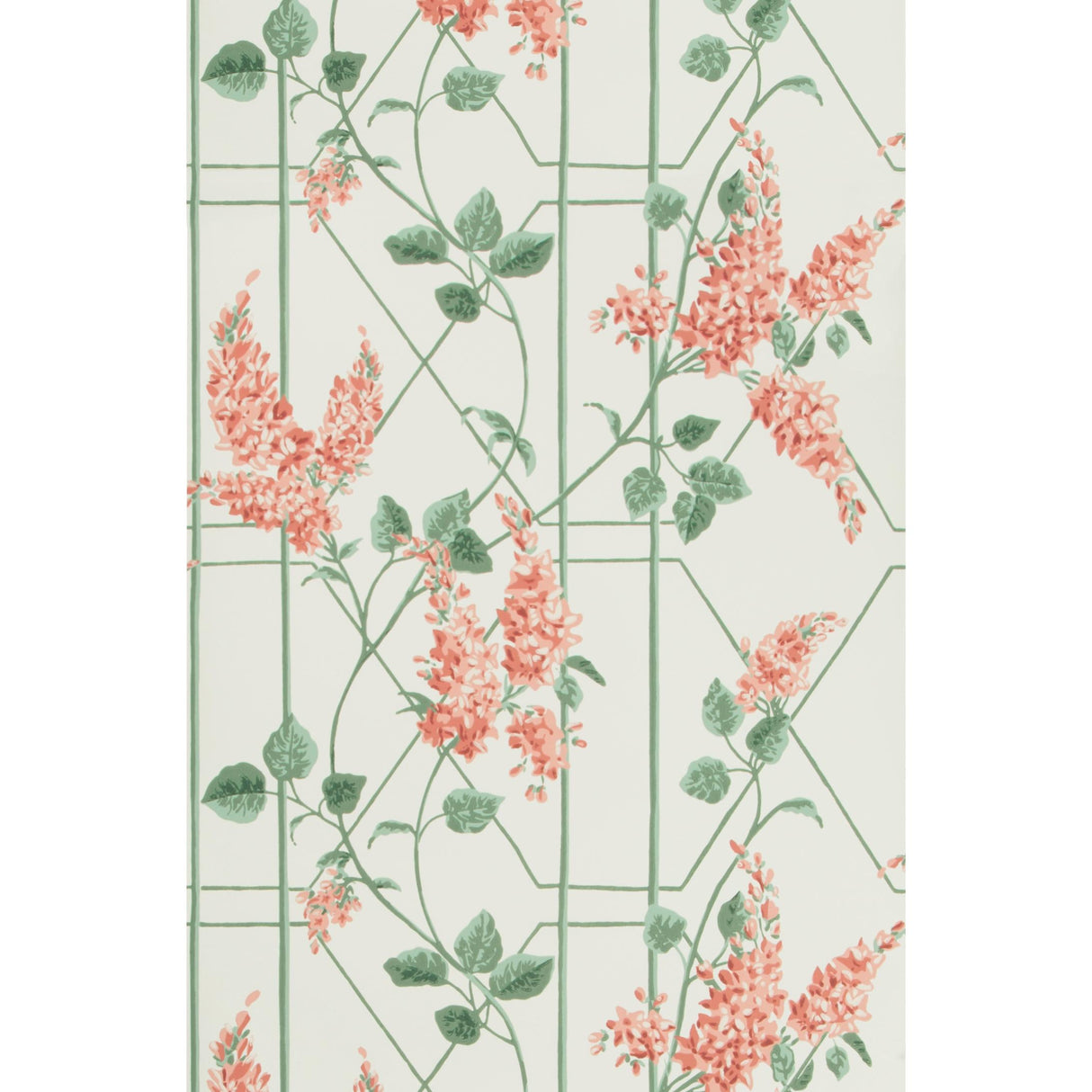 Cole & Son WISTERIA CORAL/SAGE/PARCH Wallpaper