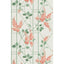 Cole & Son WISTERIA CORAL/SAGE/PARCH Wallpaper