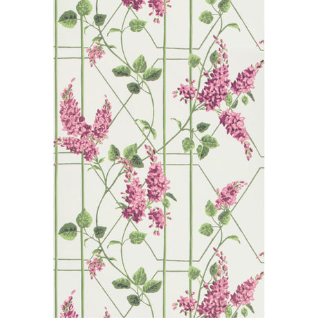 Cole & Son WISTERIA MAGENTA/GREEN/WH Wallpaper