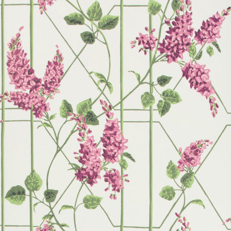 Cole & Son Wisteria Magenta/Green/Wh Wallpaper