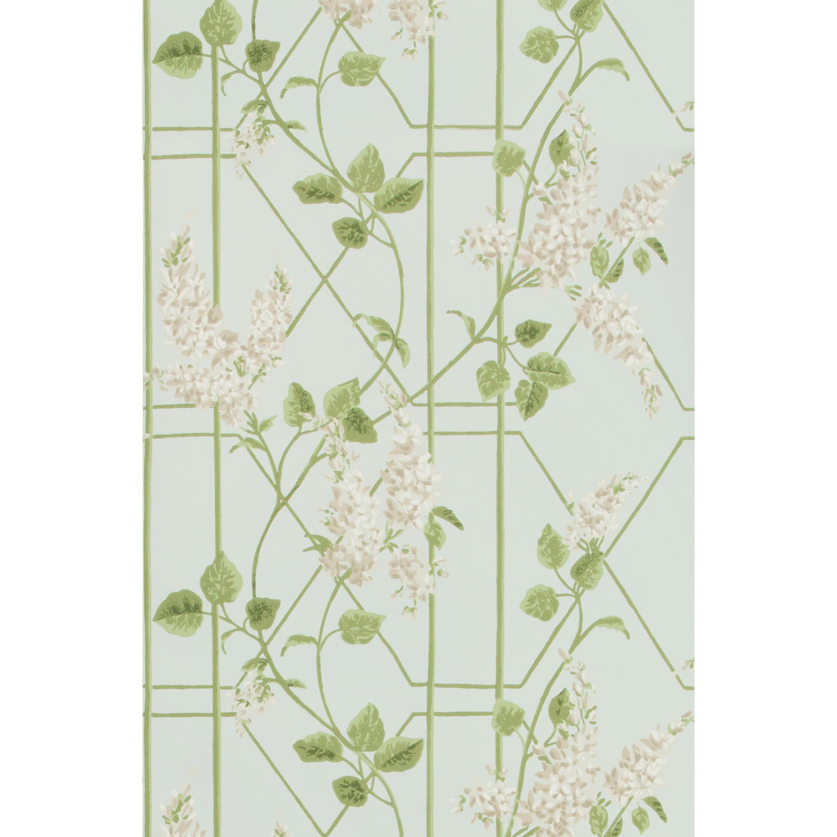 Cole & Son WISTERIA STONE/OLIVE/D EGG Wallpaper