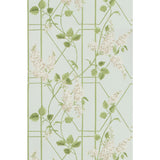 Cole & Son WISTERIA STONE/OLIVE/D EGG Wallpaper
