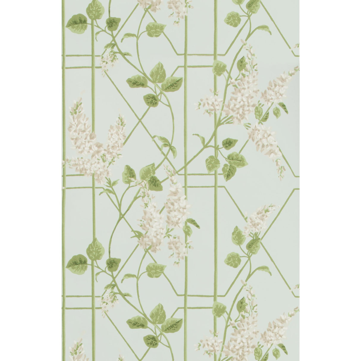 Cole & Son WISTERIA STONE/OLIVE/D EGG Wallpaper