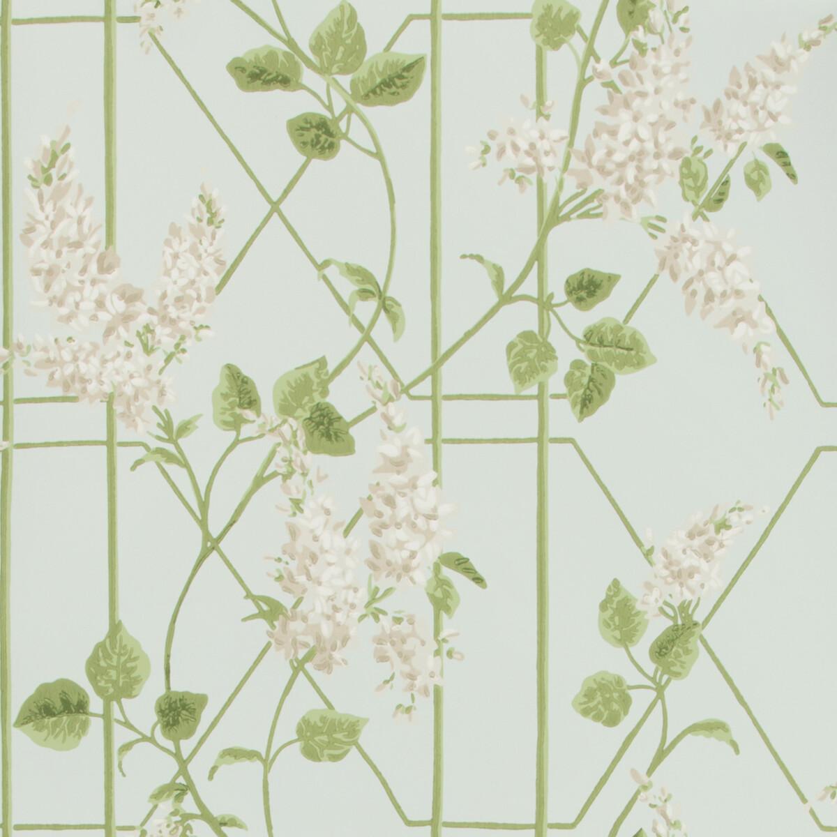 Cole & Son Wisteria Stone/Olive/D Egg Wallpaper
