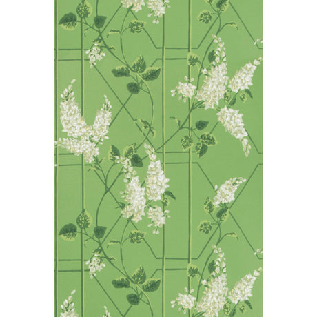 Cole & Son WISTERIA SAGE/LEAF GREEN Wallpaper