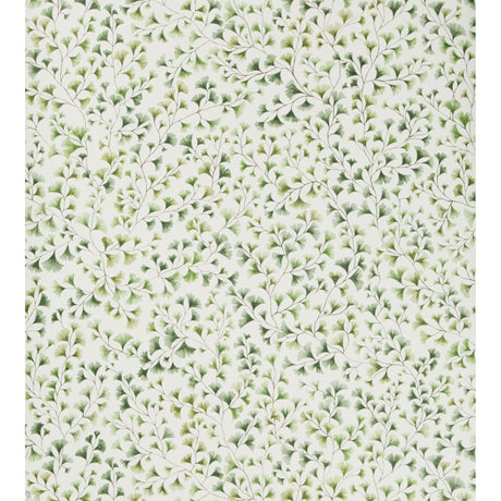 Cole & Son MAIDENHAIR OLIVE Wallpaper