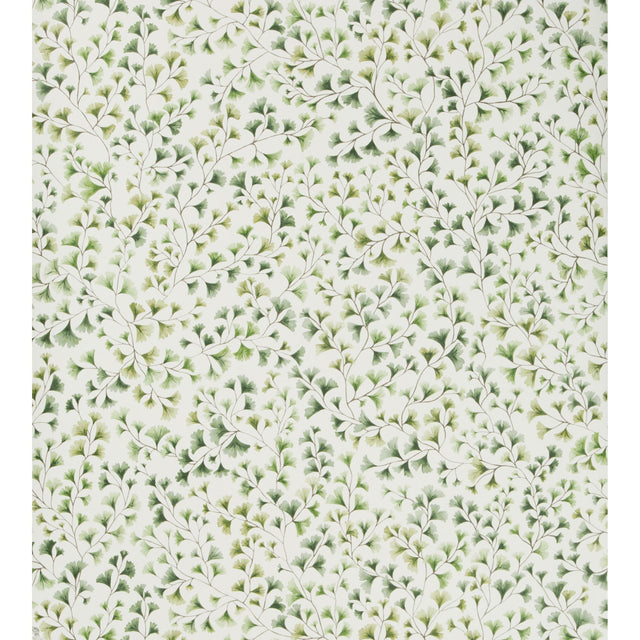 Cole & Son MAIDENHAIR OLIVE Wallpaper