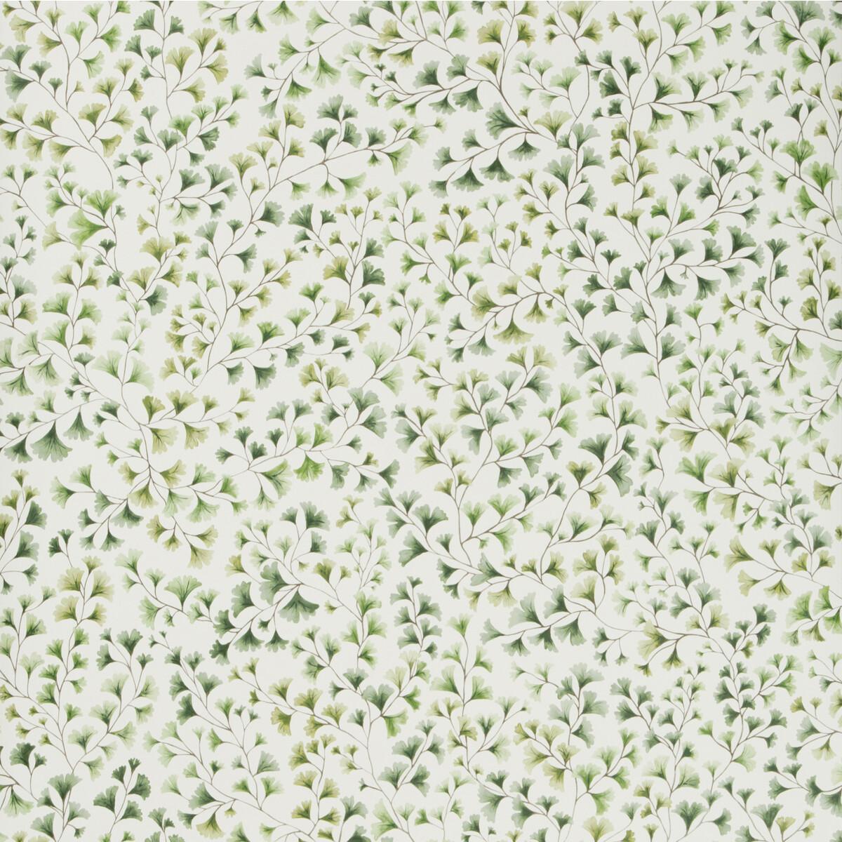 Cole & Son Maidenhair Olive Wallpaper