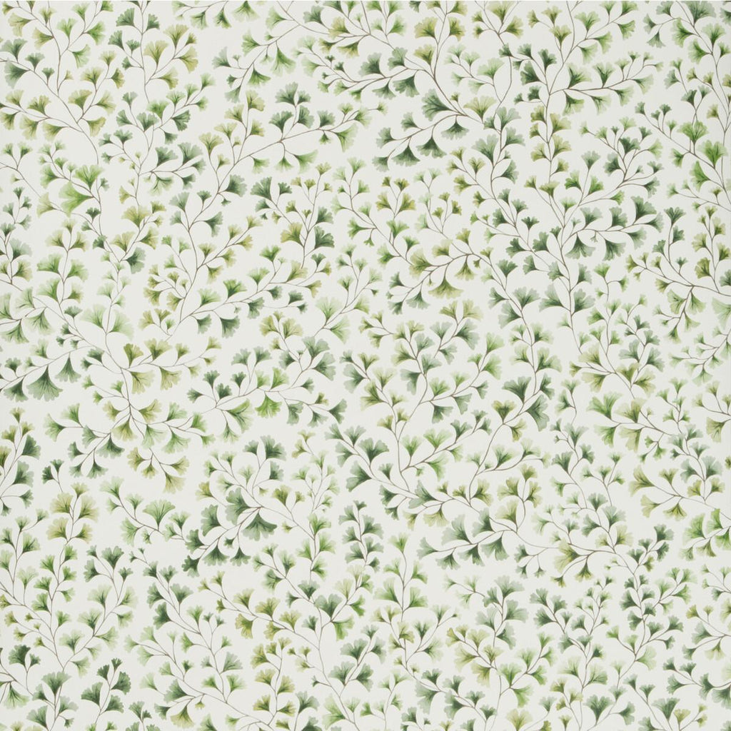 Cole & Son Maidenhair Olive Wallpaper