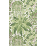 Cole & Son FERN LEAF GREEN AND OLIVE Wallpaper